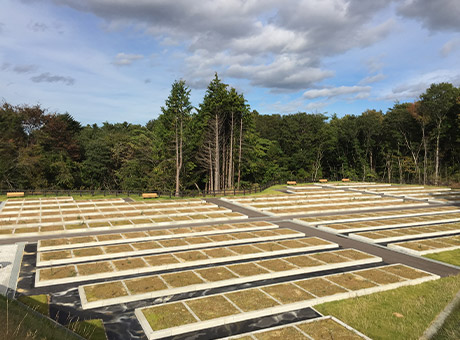 全国石製品共同組合」の墓石長期10年保証