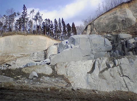 福島産の深山ふぶき1